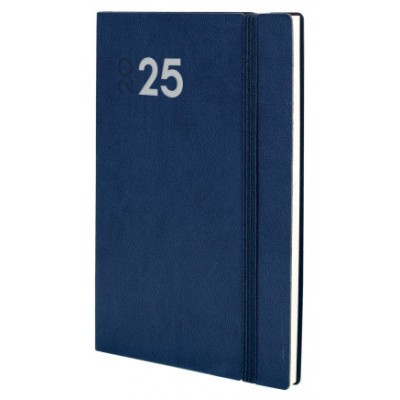 AGENDA 2025 DYNAMIC MARA Y10 140X204MM SEMANA VISTA VERTICAL AZUL FINOCAM 621121025 (Espera 4 dias)