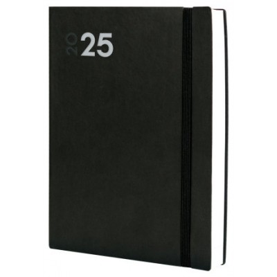 AGENDA 2025 DYNAMIC MARA Y12 210X270MM DIA PAGINA NEGRO FINOCAM 621186025 (Espera 4 dias)