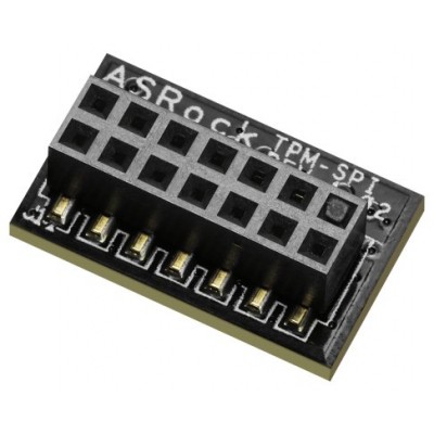 Asrock 90-MCA080-00UBNZ módulo de plataforma de confianza (TPM) SPI (Espera 4 dias)