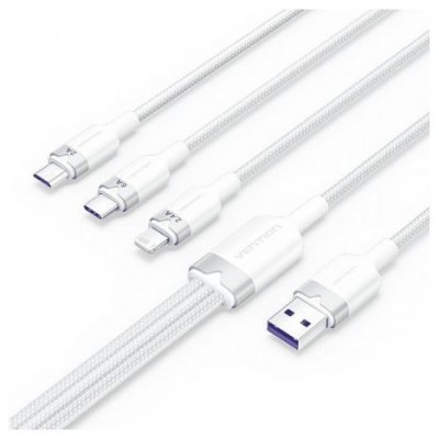 CABLE VENTION CTPWG