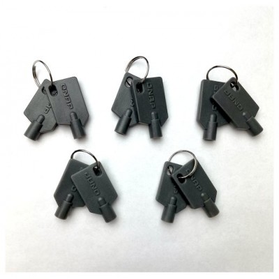 QNAP KEY-02-10PCS accesorio de bastidor Llave de cierre (Espera 4 dias)