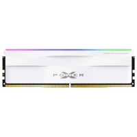 SP MEMORIA DDR5-5600,C40,RGB-UDIMM,16GB SR